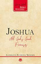 Joshua: All God’s Good Promises, book cover